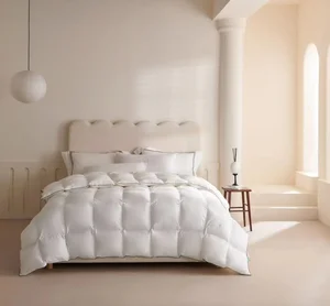 Hotel Quality Down Comforter Set Ultra Fine Fiber Summer Light Winter Warm Fluffy Soft Bedding for Home