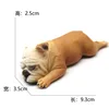 1048 bouledogue français 46g
