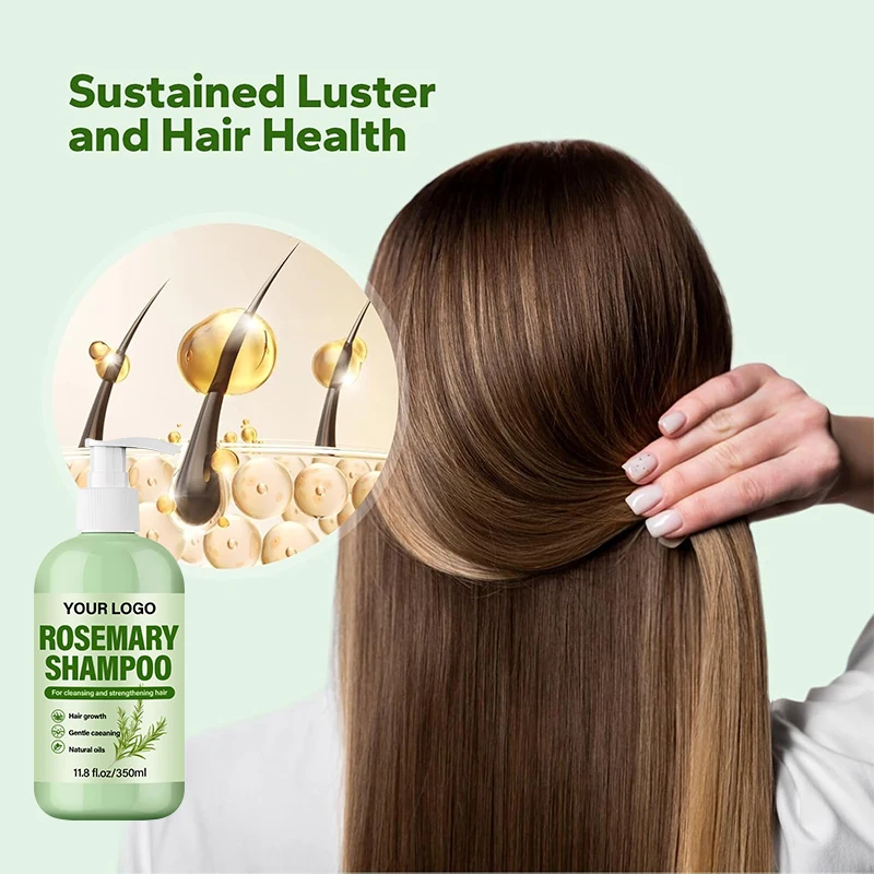 Hot Selling Hair Wash Daily Use Shampoo Hair Care Mint Rosemary Shampoo for Ceansing Stengthening Hair(pic2)