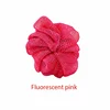 Fluorescent Pink