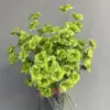 Fruit green