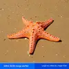 Style 06_36cm orange small starfish