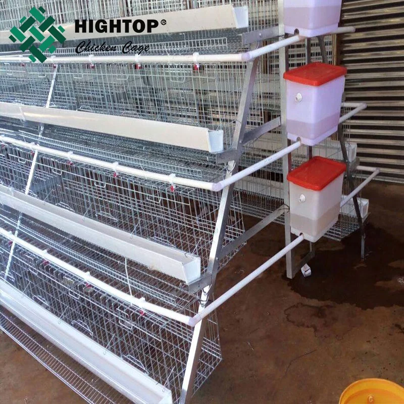 Affordable a Type Hens Coops 4 Tiers Layer Chicken Cages for Commercial Poultry Farm