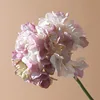 Rose2