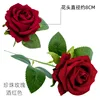 Pearl Rose Wine Red