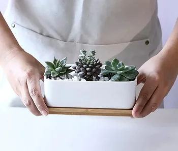 Fioriera da finestra – 5 fioriere rettangolari con vassoio rimovibile | fioriera da giardino in resina | vaso rettangolare | fioriere da finestra per fiori e piante pigre