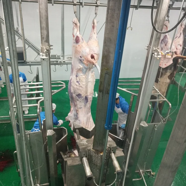 Cattle Knocking Pen - Efficient Cattle Restraint System