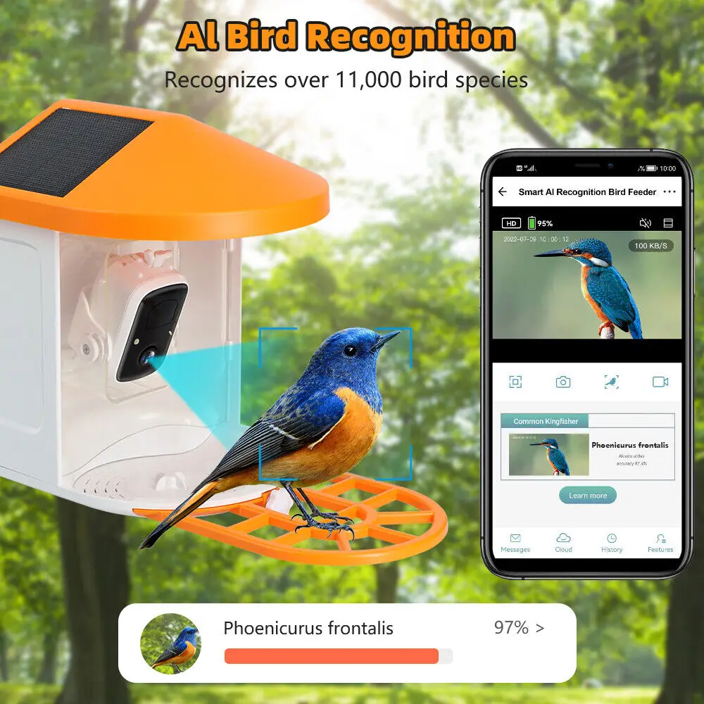 Odm Solar Power Smart Bird Feeder With 1080p Camera Ai Identify Bird ...