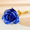 Colorido 24cm Serie Oro Flor Oro Azul
