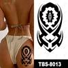 TBS8013