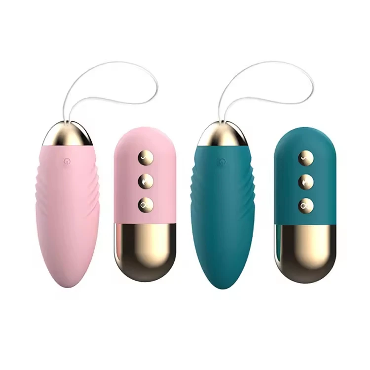 Amoura Vaginal Egg Vibrator with wireless remote control and USB charging cable