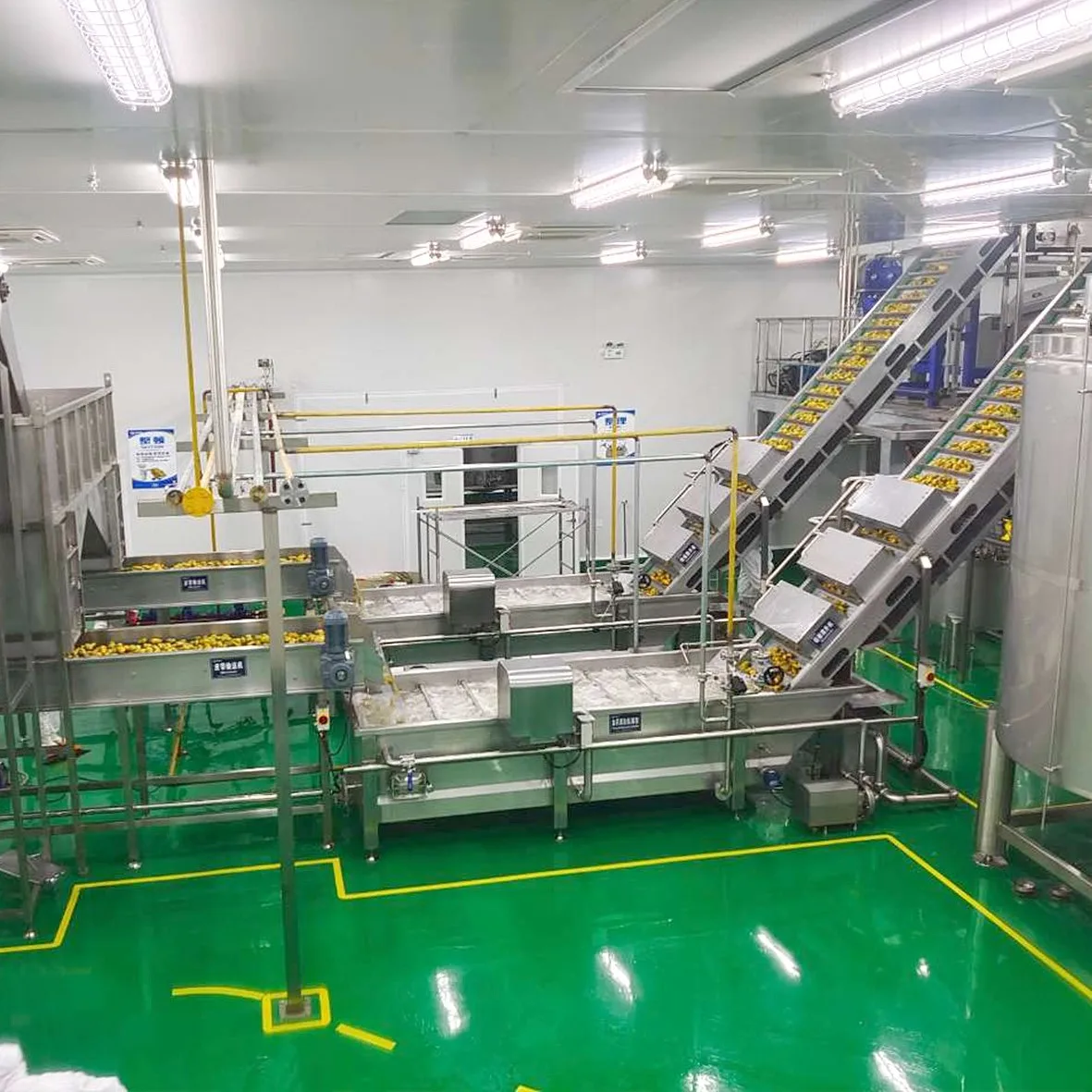 Factory Customized Automatic Industrial mango Juicer Production Line Machine
