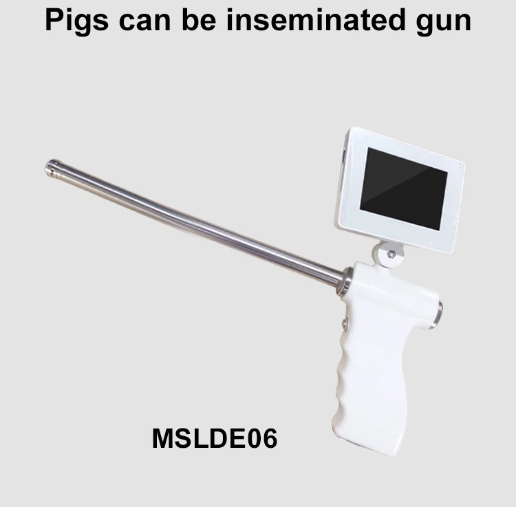 MSLDE06 (1).jpg