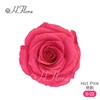 Rosa intenso