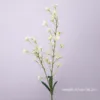 Two-pronged lily-white