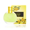 Osmanthus