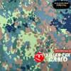 Camouflage allemand Flecktarn3