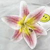 yellow heart powder5