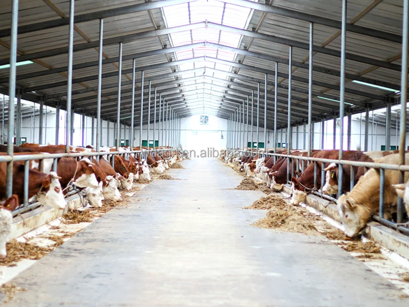 72 Inch Large Air Ventilation Cooling Exhaust Fan For Cow/cattle Calf