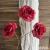 Peonia rossa Ruyi