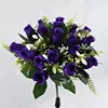 Viola