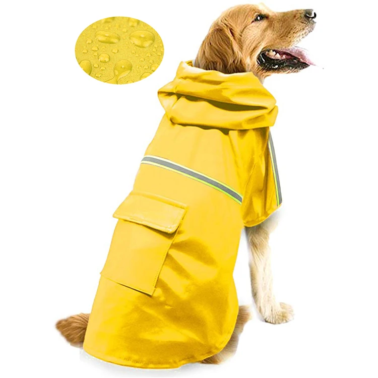 yellow dog coat