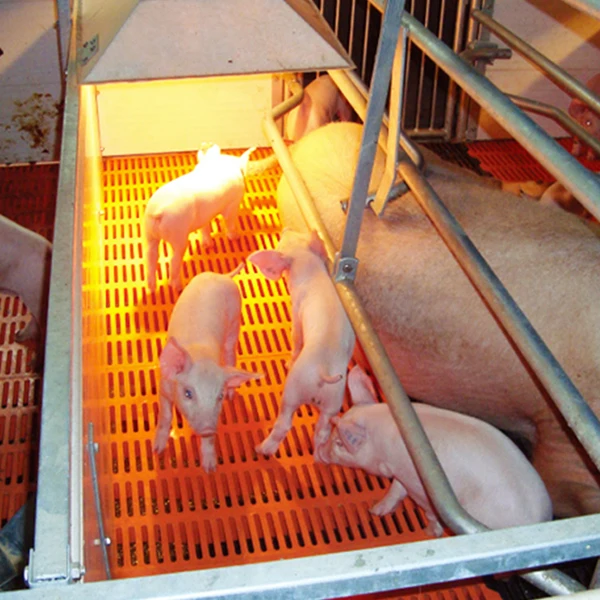 Sow Gestation Bed Galvanized Pig Farrowing Crates Pen Pig Flooring Stall  Farrowing Bed Sow Equipment for Sale