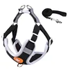 1Harness+1 leash