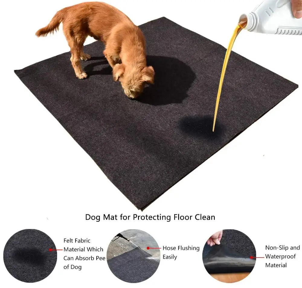 Slipping dog. Slipping dog