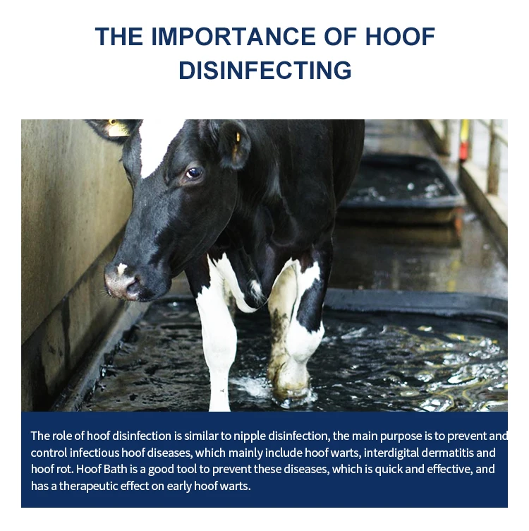 Cow Hoof Bath Cattle Hoof Disinfecting Plastic Foot Bath Animal Hoof