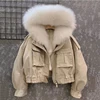 White Fox