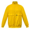 Bright  yellow