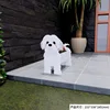 Xishi White Dog 670g