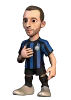 Marcelo Brozovic