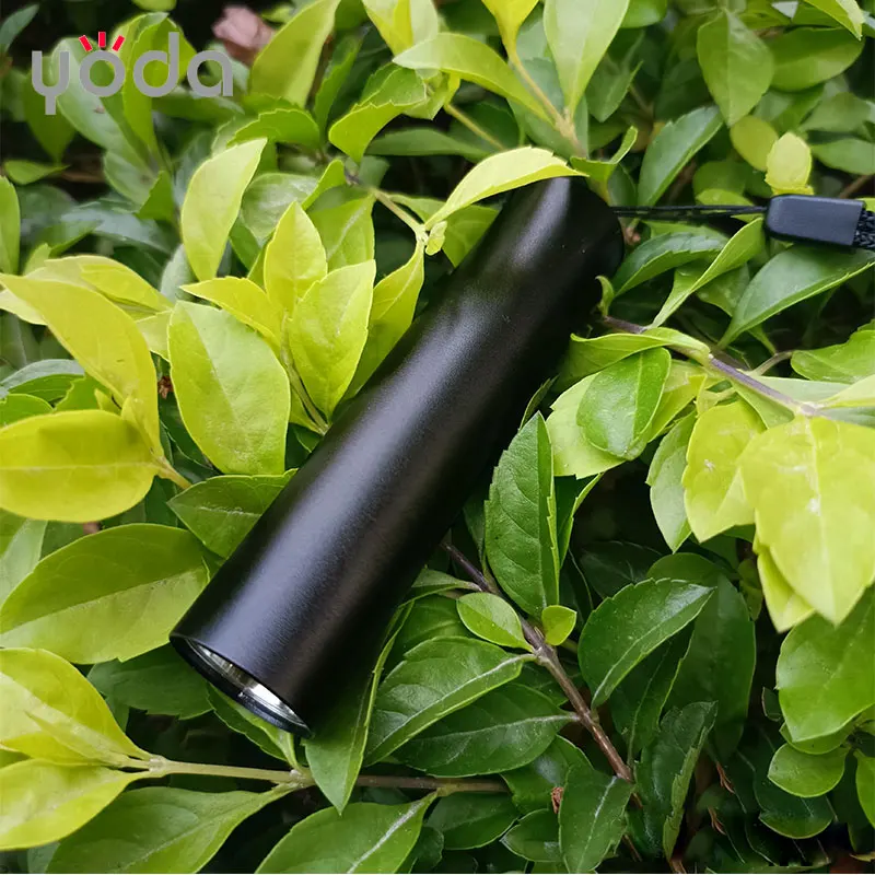 Customizable Led Flashlight Customizable Logo Mini Type C Rechargeable LED Flashlight