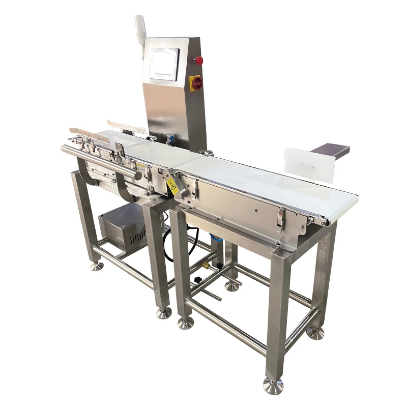 Automatic Weight Checker Conveyor Check Weigher with Rejector System