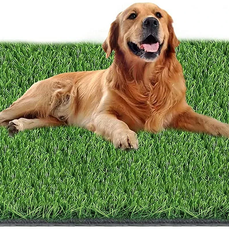Dbdmc Brand Dog Grass Artificial Turf Pet Grass Carpet Pee Pads Trainer