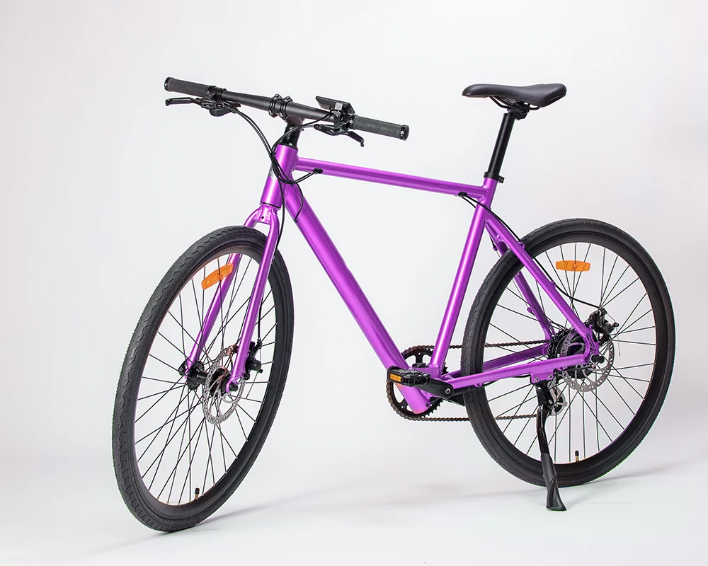 FLX/Baby Maker 36V 250W ハブモーター電動自転車 - 7速・ディスク