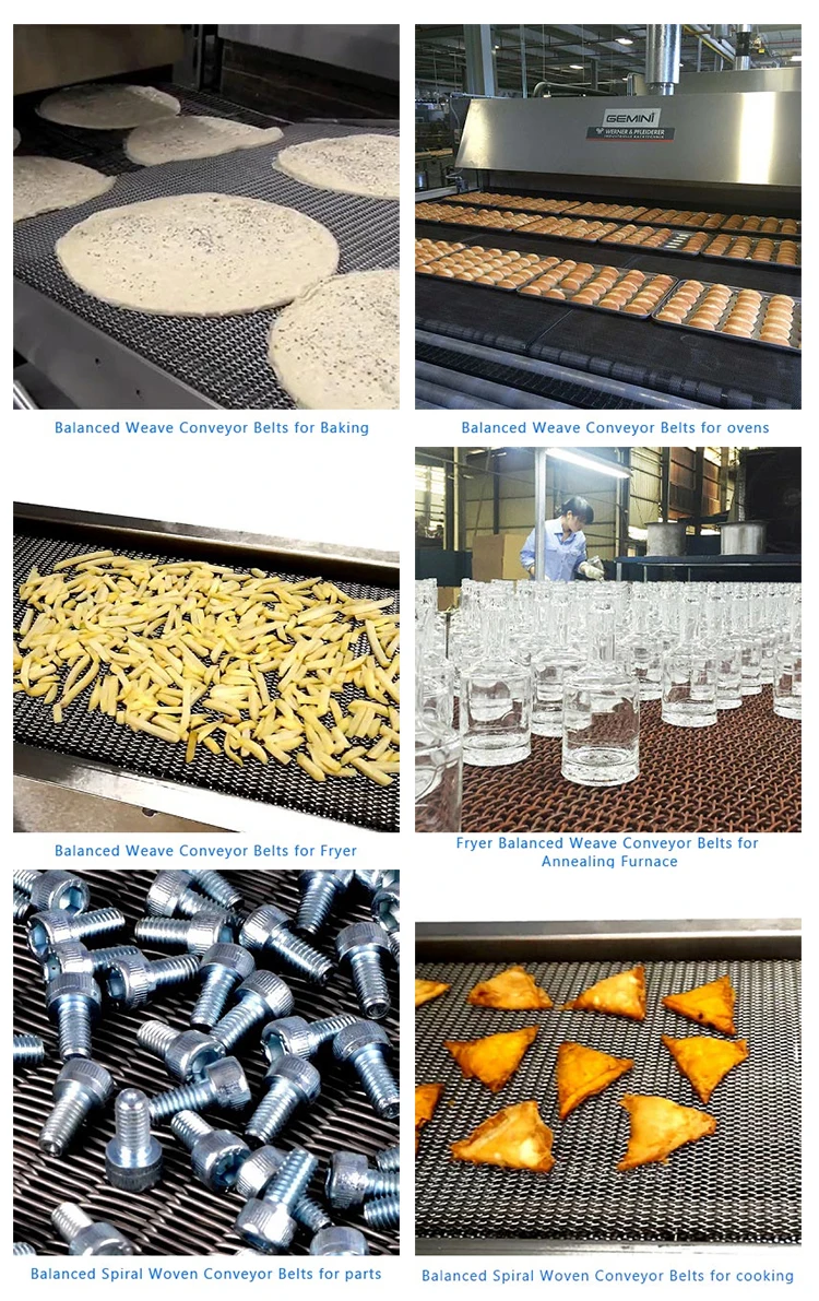 wire mesh Belts
