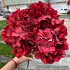 5 têtes d'hortensia rose rouge