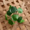 One green stem (excluding pot)
