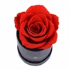 roses simples