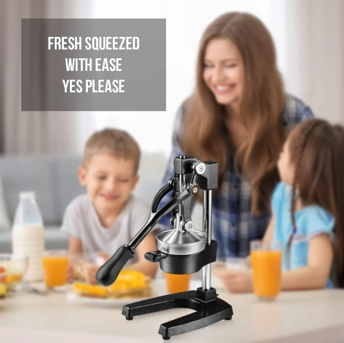 Cast Iron Citrus Juicer Extralarge Commercial Grade Manual Hand Press