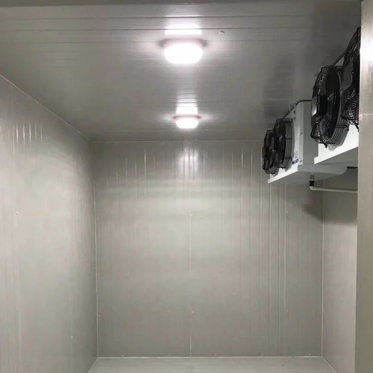 Movable Combined 40ft Reefer Container Cold Room