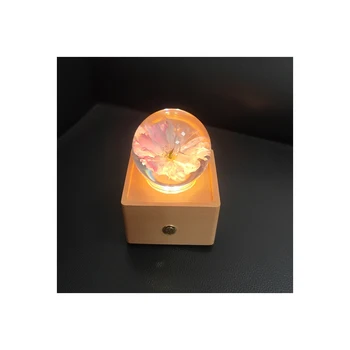 Portable hot selling natural plant flower preservation resin rose specimen crystal ball night light charging touch dandelion