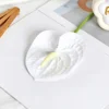 Single film anthurium white