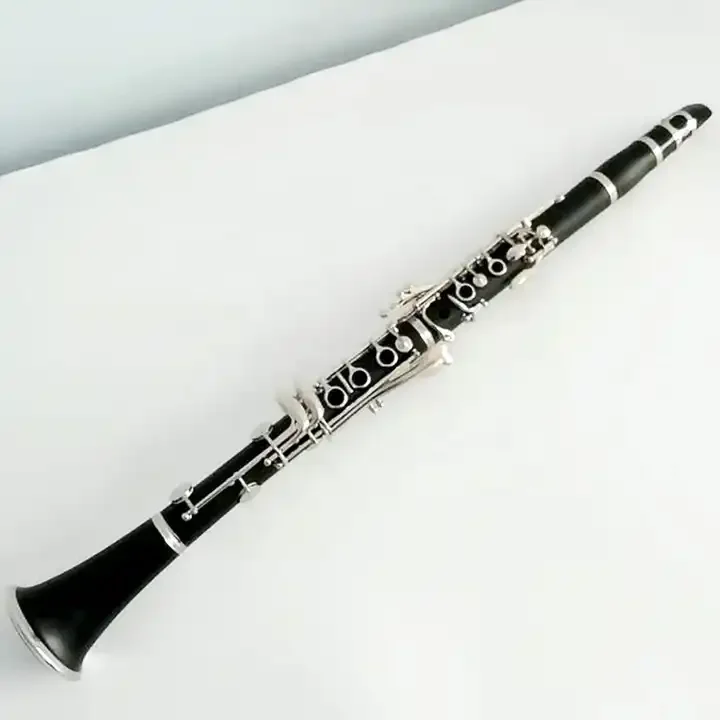 Factory Composite Wood Clarinet Instrument