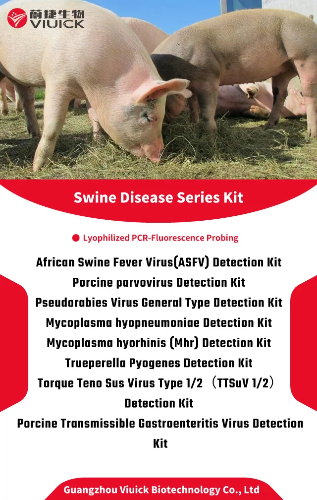 Africa Swine Fever Virus Realtime Pcr Asfv Rtpcr Test Lyophilized Pcr ...