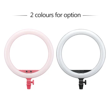 Godox LR150 18 Inch Photography Studio LED Ring Light Fill-in Light 3000K-6000K Bi-Color Temperature with Phone Holder product image