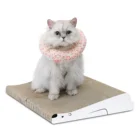Manufacturer Cat Toy Claw Scratching Paper Interactive Free Catnip Sofa Shaped Corrugated Cardboard Cat Scratcher Toy OEM Pet